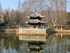 -习家池