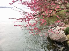 -西湖游船