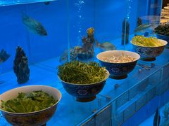 -怡咖啡·自助餐·西安香格里拉