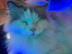 -暗楼·剧本杀·桌游