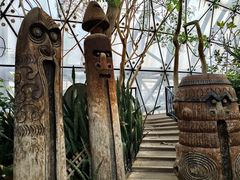 -南宫五洲植物乐园