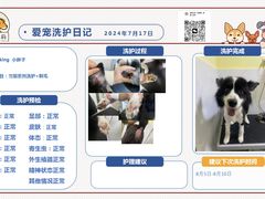 -狗不理喵子(百富路店)