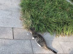 -达活泉公园