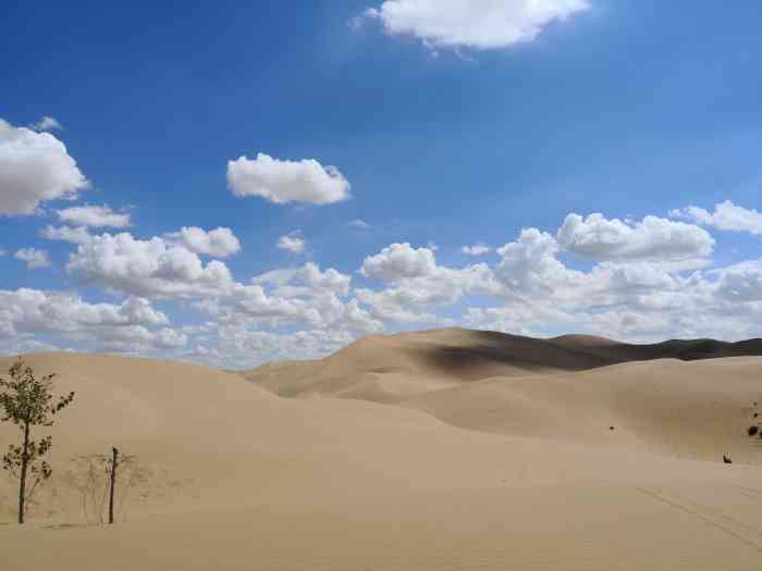 庫布其七星湖沙漠生態旅遊區-