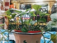 -味好美土菜(迎宾东路店)