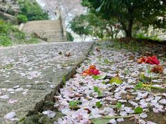 -苏州上方山国家森林公园