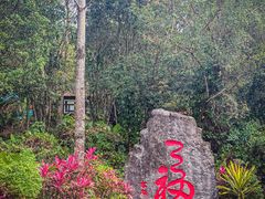 -七仙岭温泉国家森林公园