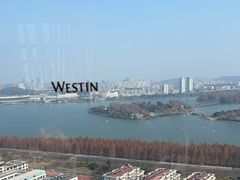 -湖景知味西餐厅•自助餐• 轻食(南京金茂威斯汀大酒店)