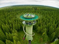 -黄海国家森林公园