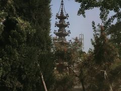 -天津大悲禅院