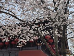 -广富林宰相府酒店·水云间