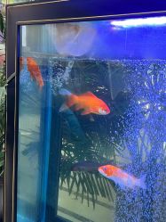 体验前-瑞鑫创美·高定轻医美