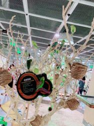 -七巧国萌宠乐园(龙湖天街店)