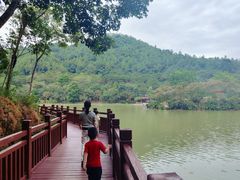 -广州白江湖森林公园