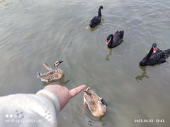 -溱湖国家湿地公园