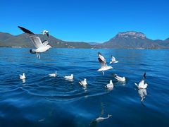 -丽江泸沽湖景区