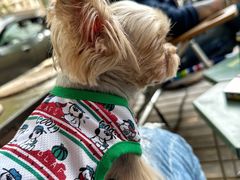 -小龍鳳餐室(番禺路店)