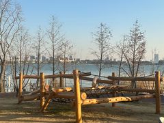 -金鸡湖桃花岛