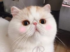 -麦当劳(瓦房店世纪广场店)