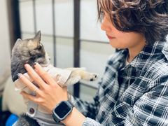 -逗柴咖啡屋·狗咖猫咖宠物桌游