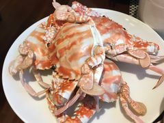 -南湖名都·景湖轩全日制餐厅·海鲜自助·东南亚风味·临湖而食