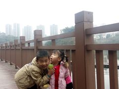 -重庆彩云湖湿地公园