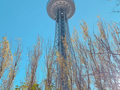 -龙塔
