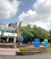 -上海交通大学医学院附属上海儿童医学中心(陆家嘴总院区)