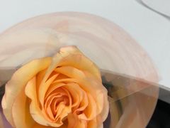 -奈雪的茶(中储能店)