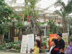 前厅-绿色时代大酒店