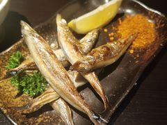 -春草居酒屋·晴子の店