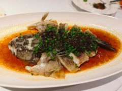 -南麓·浙里(外滩店)