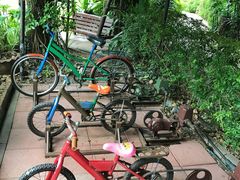 -卷心菜和避孕套餐厅(Pattaya)