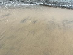 -那琴半岛地质海洋公园