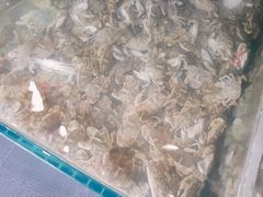 -蟹谢蒸鲜自助餐厅