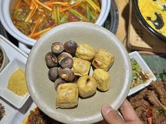 -鲜菌江湖正宗野生菌火锅