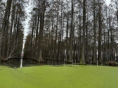 -渌洋湖湿地公园