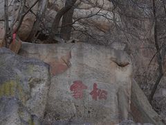 -泰山风景名胜区