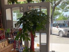 -唐小姐の私宠·宠物洗护美容·撸猫馆·购宠(周浦万达旗舰店)