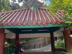 -九龙公园