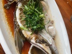 -八仔大富楼·河鲜(西江店)