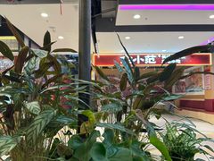 -北京华联购物中心(天通苑店)