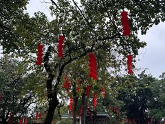-荔湾湖公园