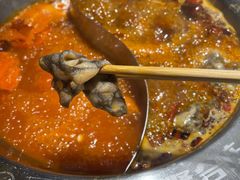 -贤合庄卤味火锅(勒泰中心店)