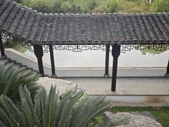 -八大山人梅湖景区