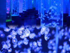 -石林冰雪海洋世界