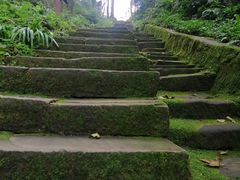 -缙云山景区
