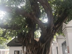 -黄埔军校旧址纪念馆
