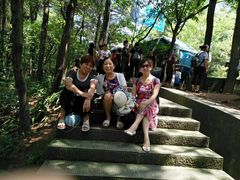 -铁山坪森林公园