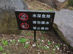 -九科绿洲